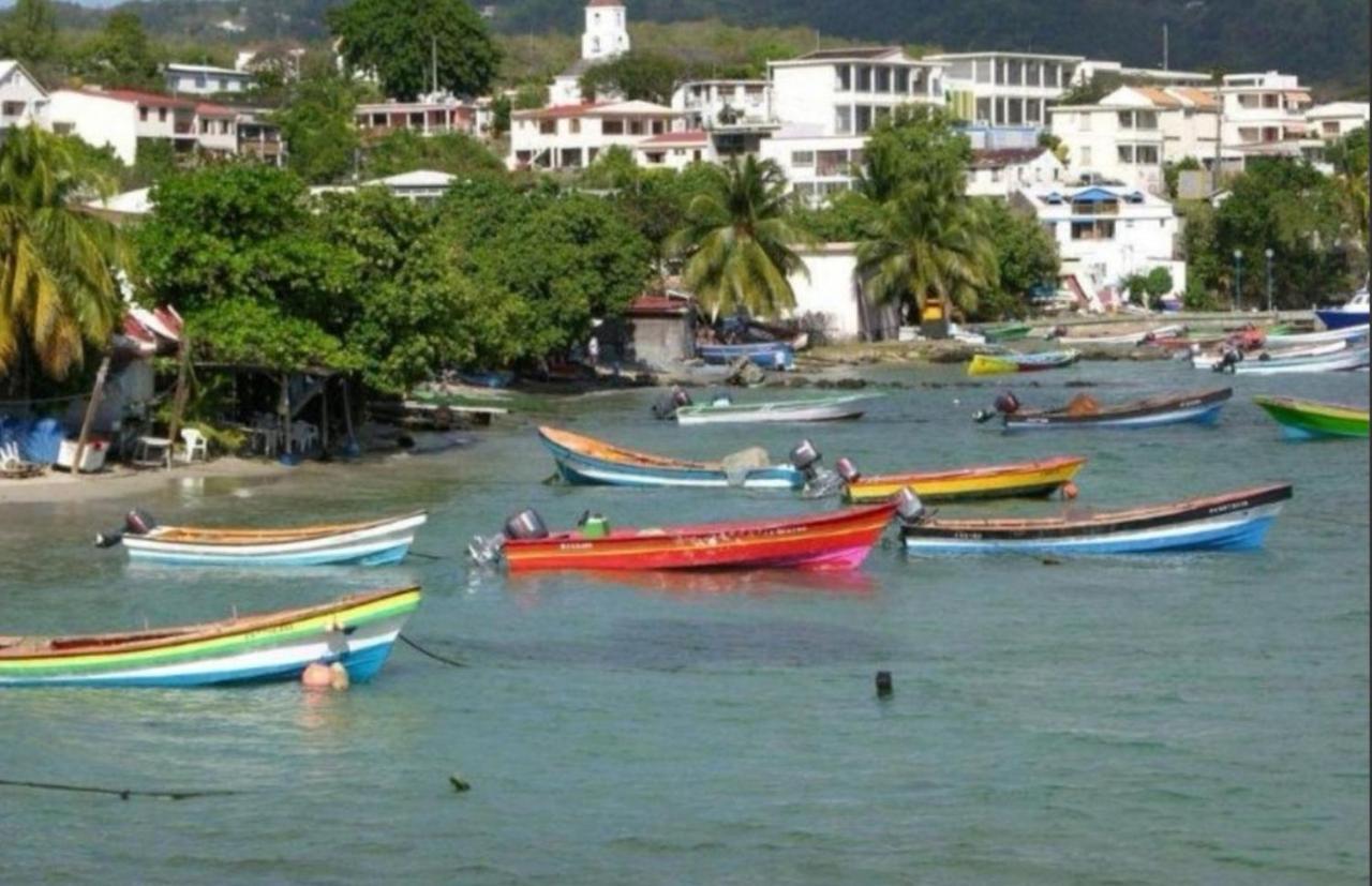 T2 Les Pieds Dans L'Eau Face A La Mer Des Caraibes Sainte Luce - Trois Rivieres Luaran gambar